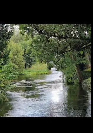 Ballnamona House Bed & Breakfast Cong