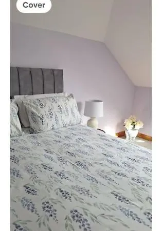 Ballnamona House 3* Cong