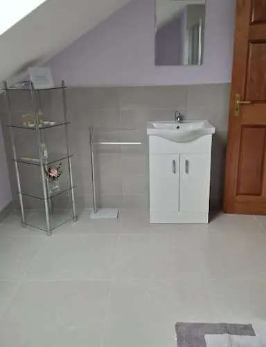 לינה וארוחת בוקר Ballnamona House קונג