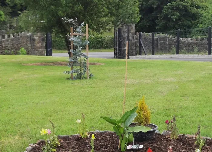 לינה וארוחת בוקר Ballnamona House 3*