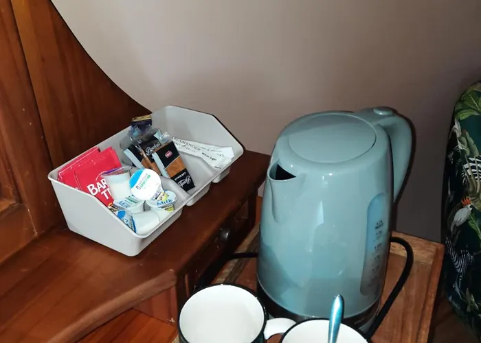 לינה וארוחת בוקר Ballnamona House קונג