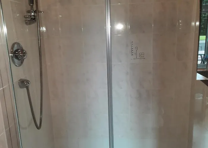 לינה וארוחת בוקר Ballnamona House 3*